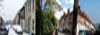 Swindons Back Garden Blog